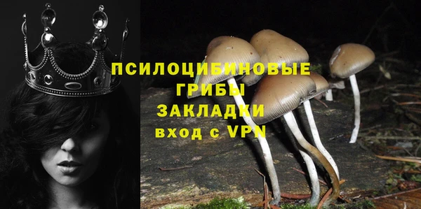 МДПВ Арсеньев